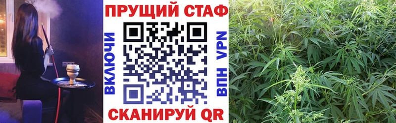 Псилоцибиновые грибы Дмитриев