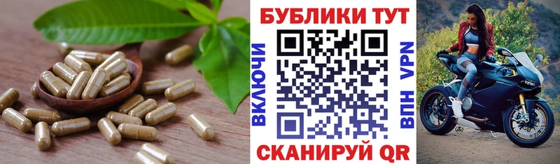 закладки  Дмитриев  Экстази бентли 