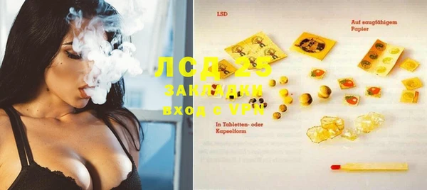ECSTASY Горняк