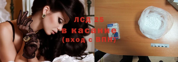 ECSTASY Горняк
