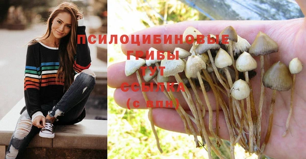 мдпв Одинцово