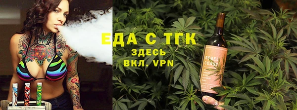 ECSTASY Горняк