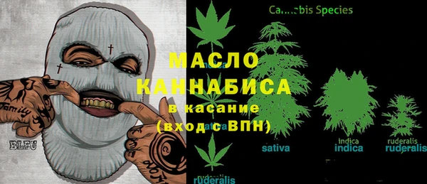ECSTASY Горняк