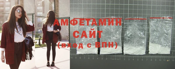 ECSTASY Горняк
