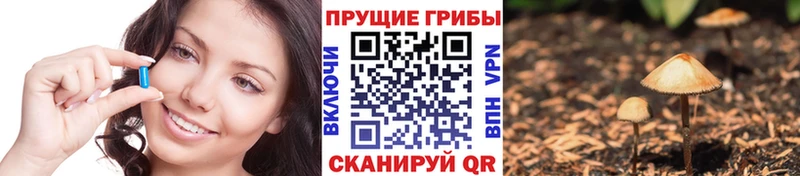 Галлюциногенные грибы GOLDEN TEACHER  где продают   kraken ONION  Дмитриев 